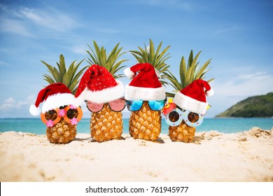Tropical Christmas Images, Stock Photos & Vectors ...