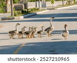 A family of geese, including goslings and adult geese, walking together across an empty street. The scene captures a charming and humorous moment of nature intersecting with an urban environment, 