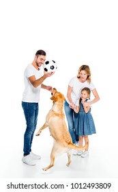 Family And Golden Retriever Dog Playing With Football Ball, Isolated On White