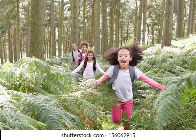 Family Group Hiking In Woods Together