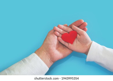 Family Hands Holding Red Heart, Heart Health Insurance, Organ Donation, Charity Charity With Volunteers, Social Responsibility For Social Responsibility, World Heart Day, World Health Day, 