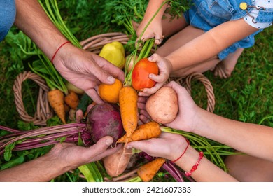 A family harvests vegetables in the garden. Selective focus. Food. - Powered by Shutterstock