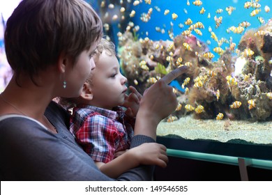 The Family Has Holiday At An Aquarium