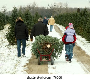 Family hauling their freshly cut Christmas tree
