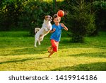 Family having fun outdoor with dog and basketball ball