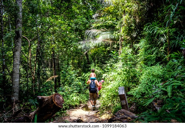 マレーシア ペナンのペナン国立公園で 森林を家族のハイキングが行われる の写真素材 今すぐ編集