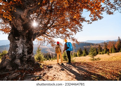 Family is hiking in mountains. Children with backpacks stand near large lonely tree with autumn leaves. - Powered by Shutterstock