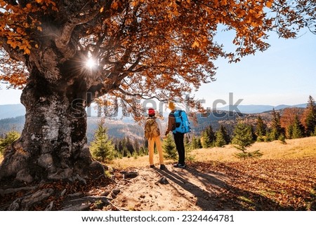 Similar – Image, Stock Photo autumn hike Autumn