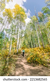 Family Hiking In The Mountains In Colorado During Fall Season 