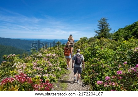 Family hiking on summer vacation trip. People with backpacks hiking in the mountains. Craggy Gardens Milepost. Near Asheville, Blue Ridge Mountains, North Carolina, USA.