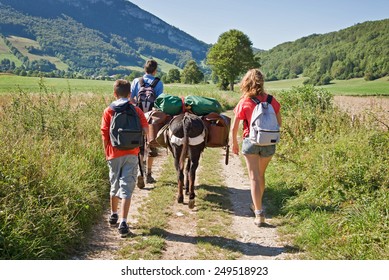 Family hiking with a pack donkey, Vercors, France