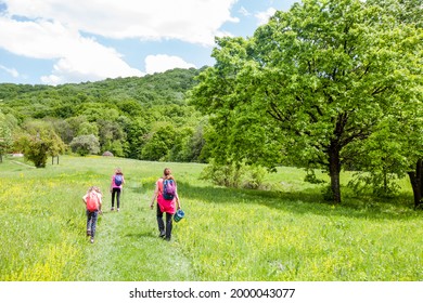 Family Hiking , Spring Day, Green Fields, Nature Landscape, Mother With Daughters Walking 