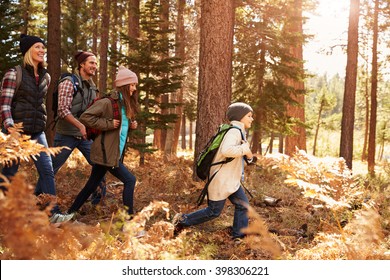 Family Hiking Through A Forest, California, USA