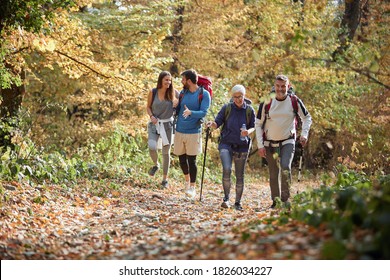 Family Hiking In The Woods; Quality Family Time Concept