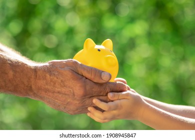 Family Holding Piggy Bank In Hands Against Green Spring Background. Fundraiser For Environmental Protection Concept