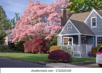 Family Home And Garden In Gresham Oregon Surrounded In Spring Colors.