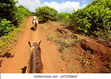 Family Horseback Riding, Active Family Vacation Concept