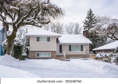 Family house with tree on the front yard in snow. Residential house on winter cloudy day