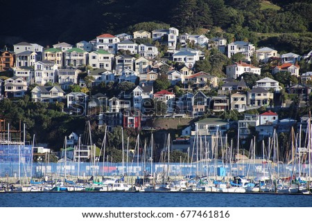 Family houses on a slope near marina full of boats in Wellington, New Zealand