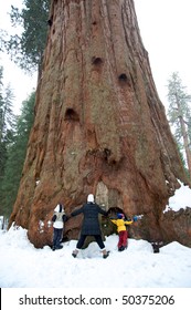 Family Hugging Sequoia Tree