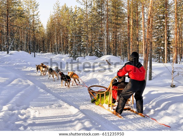 フィンランド ラプランド ロバニエミの冬の雪の森の中で犬ぞりをした家族 の写真素材 今すぐ編集