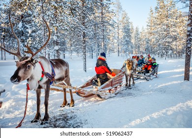 Family With Kids At Reindeer Safari In Winter Forest In Lapland Finland