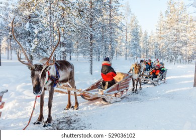 Family With Kids At Reindeer Safari In Winter Forest In Lapland Finland