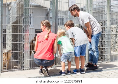 Family Looking To Adopt A Pet From Animal Shelter Watching The Poor Pet In Cage