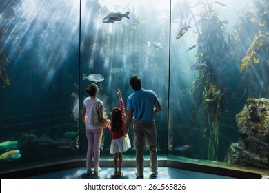 Family Looking At Fish Tank At The Aquarium