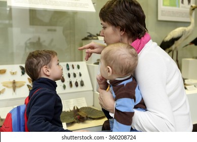 Family Looking At Insects In A Museum