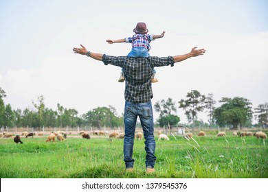 Family Looking At Sheep In Field. Boy And Young Father Having Fun On Livestock. Portrait Of A Man And Boy With Sheeps In The Farm.