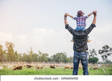 Family Looking At Sheep In Field. Boy And Young Father Having Fun On A Farm.