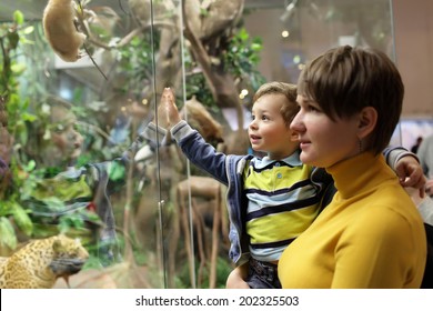 Family Looking At Wild Animals In A Museum