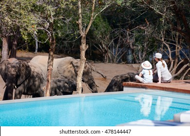 Family Of Mother And Child On African Safari Vacation Enjoying Wildlife Viewing Sitting Near Swimming Pool