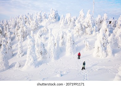 Family mother and daughter hiking in snowshoes in beautiful winter forest among snow covered trees in Lapland Finland
