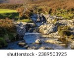Family, mother, father and daughter having fun at mountain Dargle River. Hiking in Powerscourt, Wicklow Mountains at autumn, Ireland