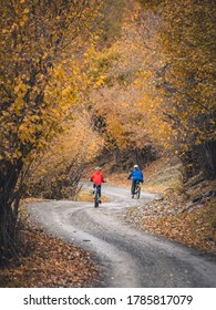 Family mountain biking on forest trail, back view. Cycling outdoors in autumn landscape scenery. Travel destination inspiration in the Pyrenees, Spain.