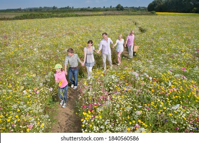 Family With Multiple Generations Holding Hands And Walking Along A Meadow Full Of Wildflowers.