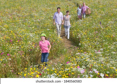 Family With Multiple Generations Walking Along A Meadow Full Of Wildflowers.