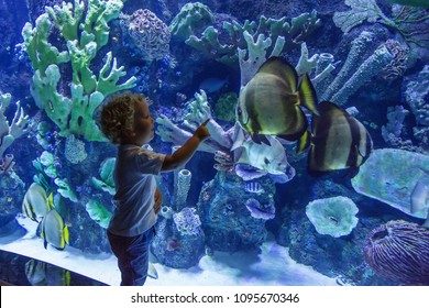 Family Observing Fish At The Aquarium