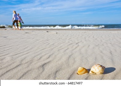 Family On Beach With Shells