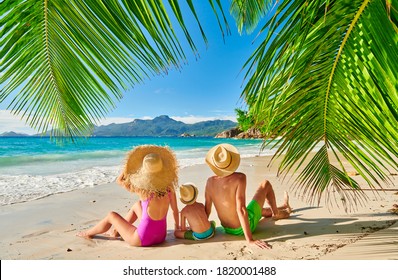 Family on beautiful Anse Soleil beach with palm tree, young couple with three year old toddler boy. Summer vacation at Seychelles, Mahe. - Powered by Shutterstock