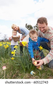 Family On Easter Egg Hunt In Daffodil Field