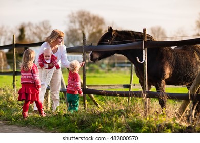 Family On A Farm In Autumn. Mother And Kids Feed A Horse. Outdoor Fun For Parents And Children. Woman With Baby And Toddler Playing With Pets. Child Feeding Animal On A Ranch On Cold Fall Day. 