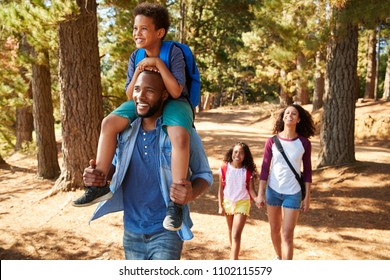Family On Hiking Adventure Through Forest