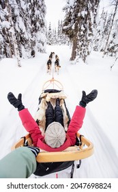 Family On Husky Safari Enjoying Ride On Winter Day In Lapland In Finland