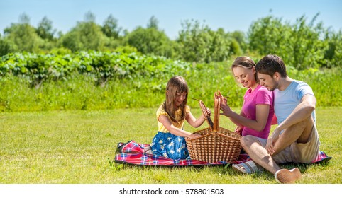 Family On Picnic At Sunny Day