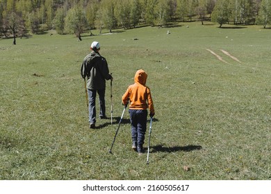 Family Outdoor Activities, Father And Son Go Hiking, Walking Poles, Summer Holidays In Nature, Family Weekend, Hiking Trail, Nordic Walking. High Quality Photo