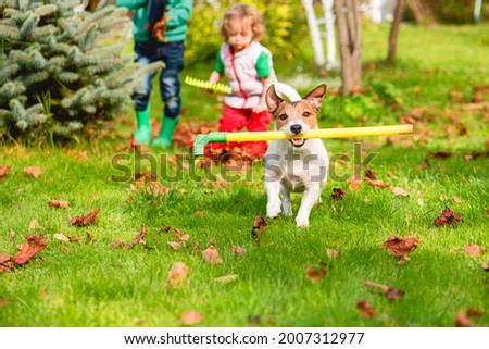 Family and pet dog doing Fall cleaning in garden and gathering old leaves at lawn