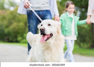 Family, Pet, Domestic Animal And People Concept - Close Up Of Family With Labrador Retriever Dog On Walk In Park